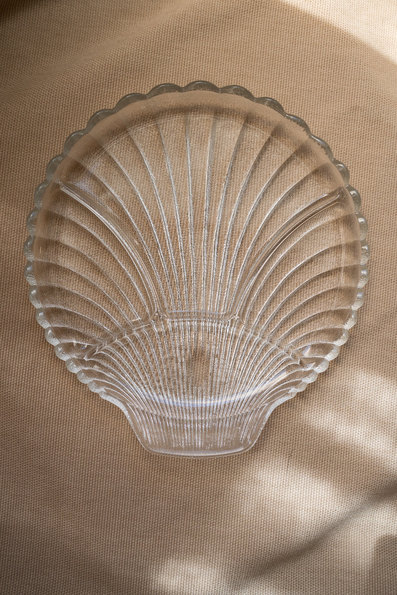 Large shell plate