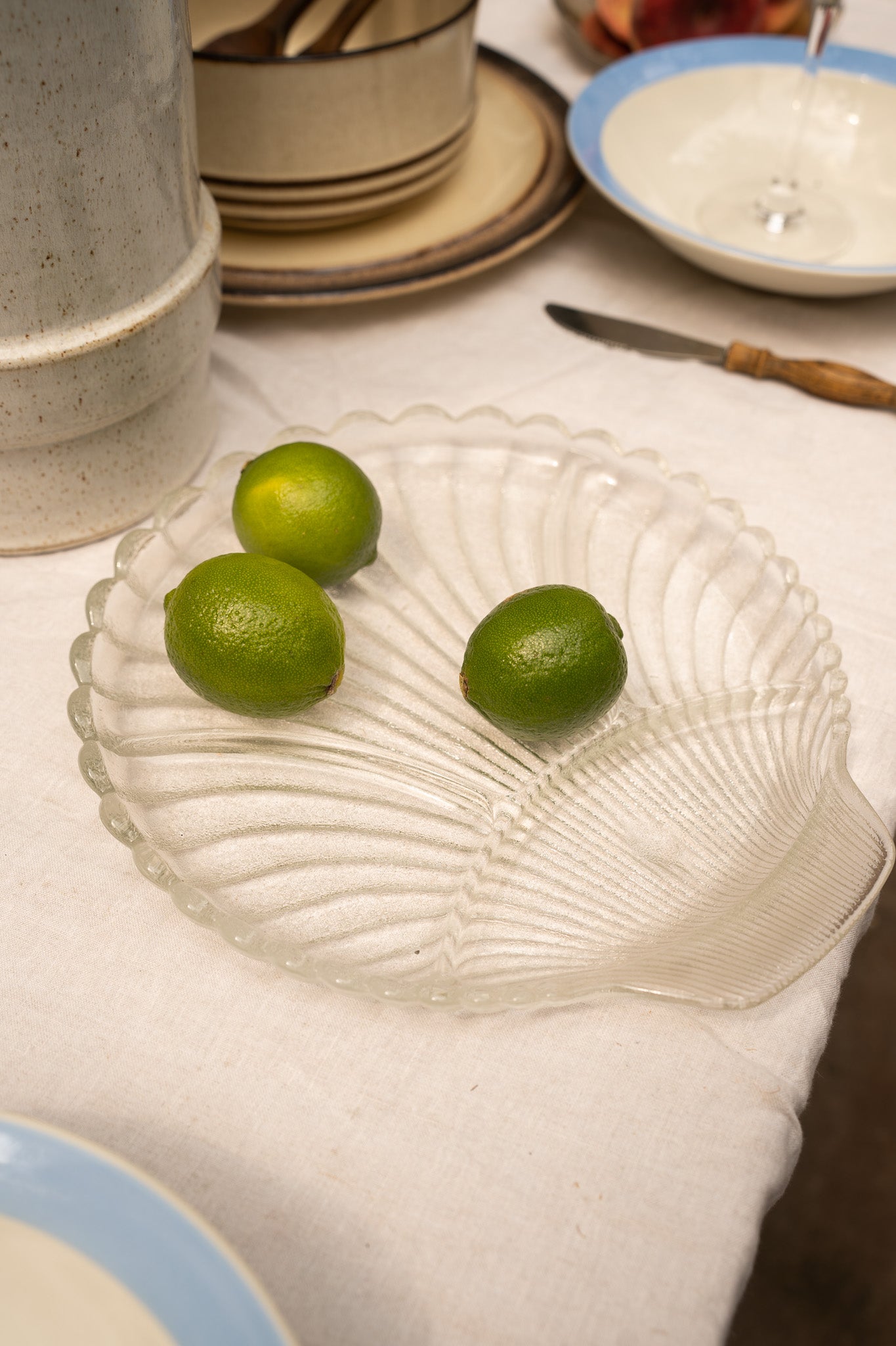Large shell plate