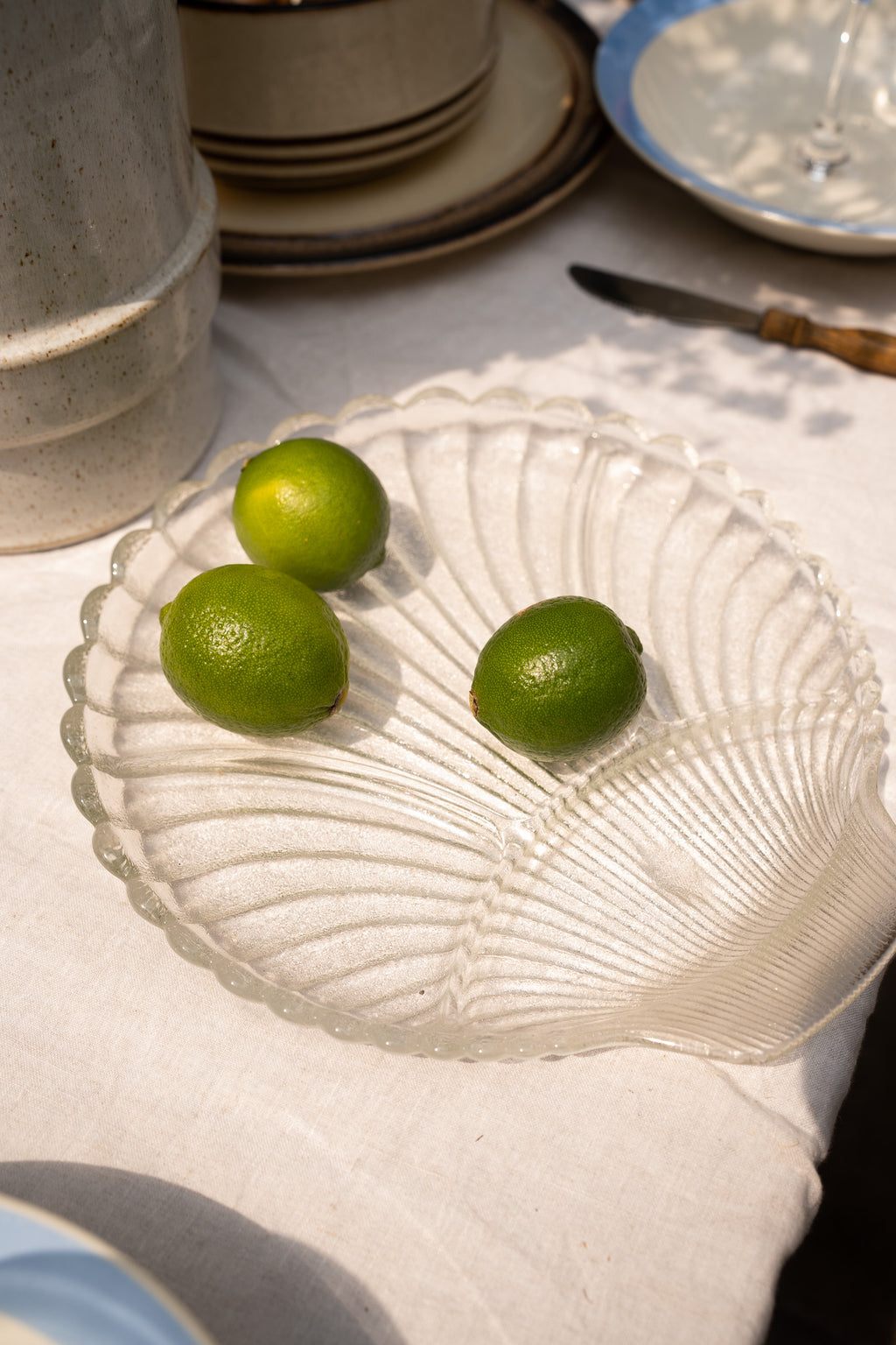 Large shell plate