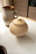 Terracotta pot met deksel