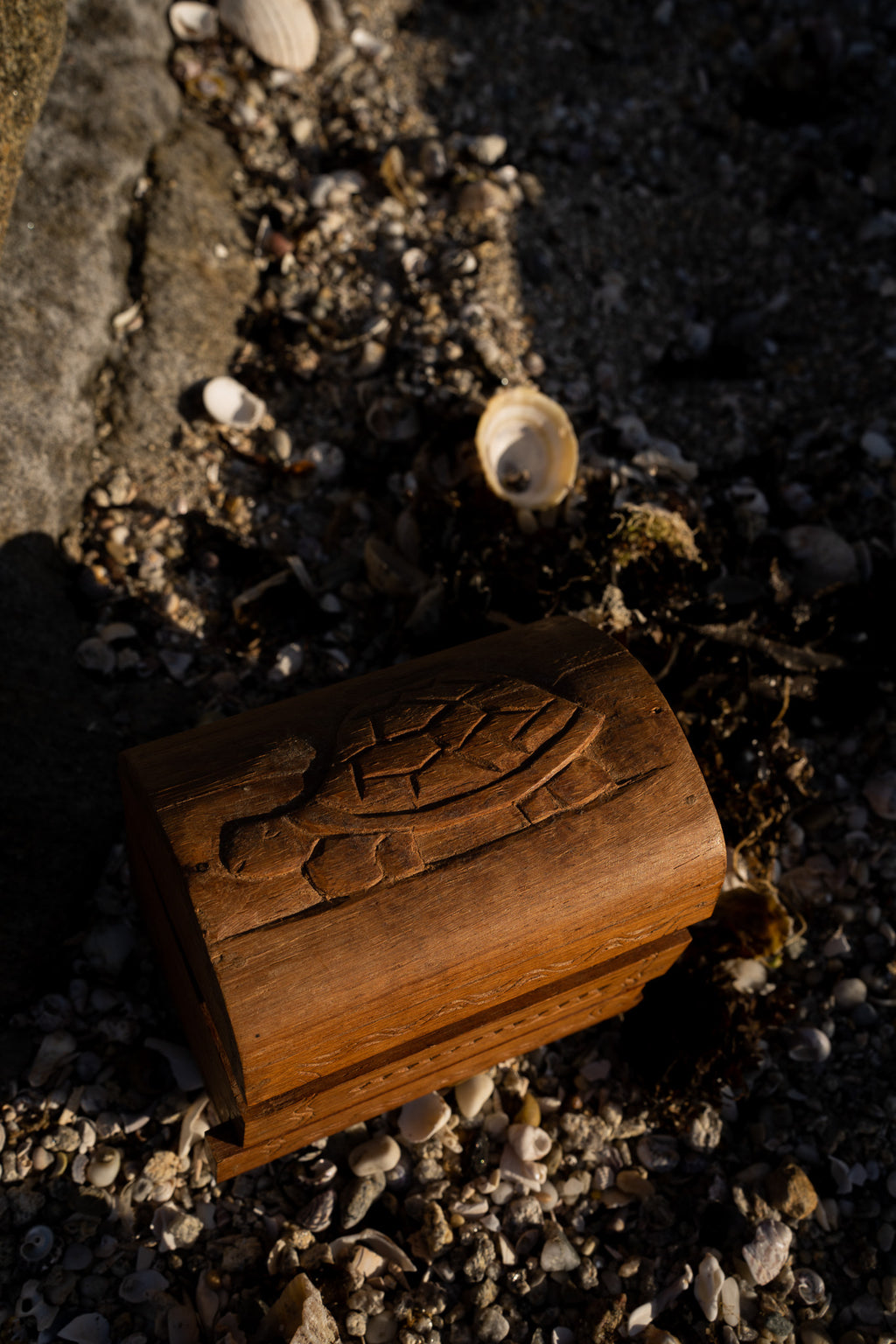 Houten schildpad kistje