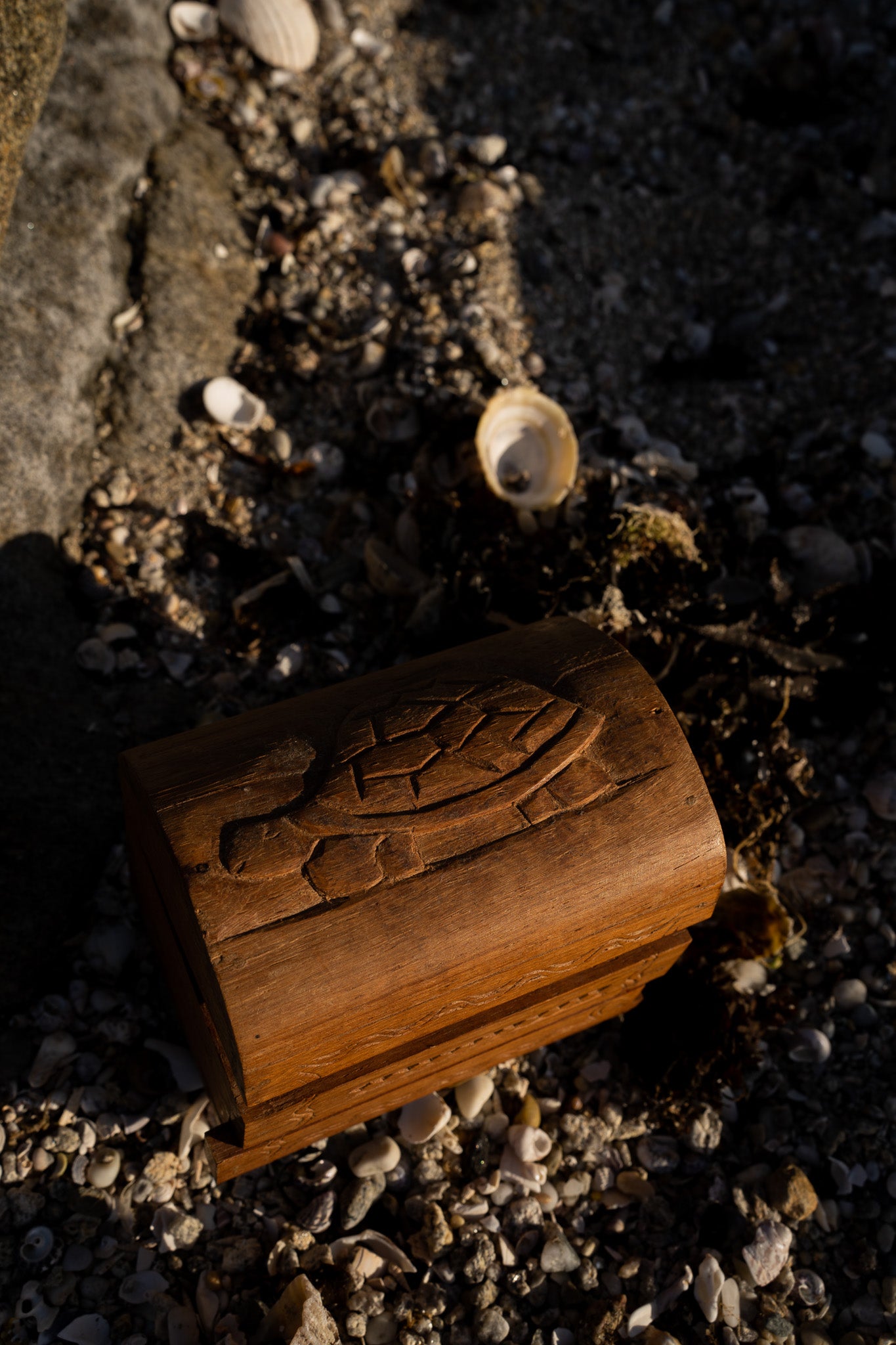 Houten schildpad kistje