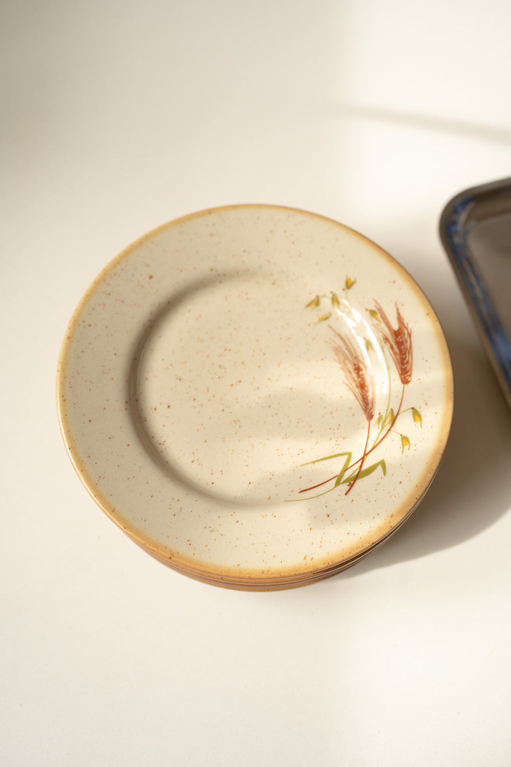 Set van 5 beige borden