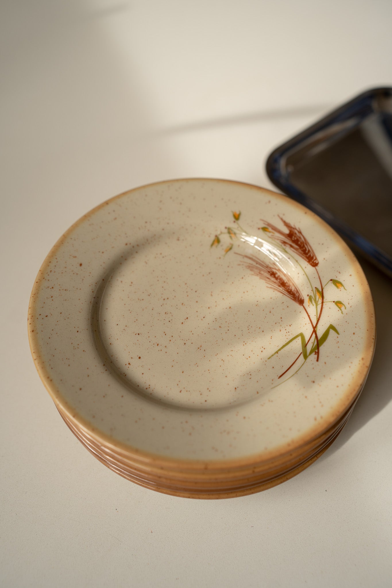 Set van 5 beige borden