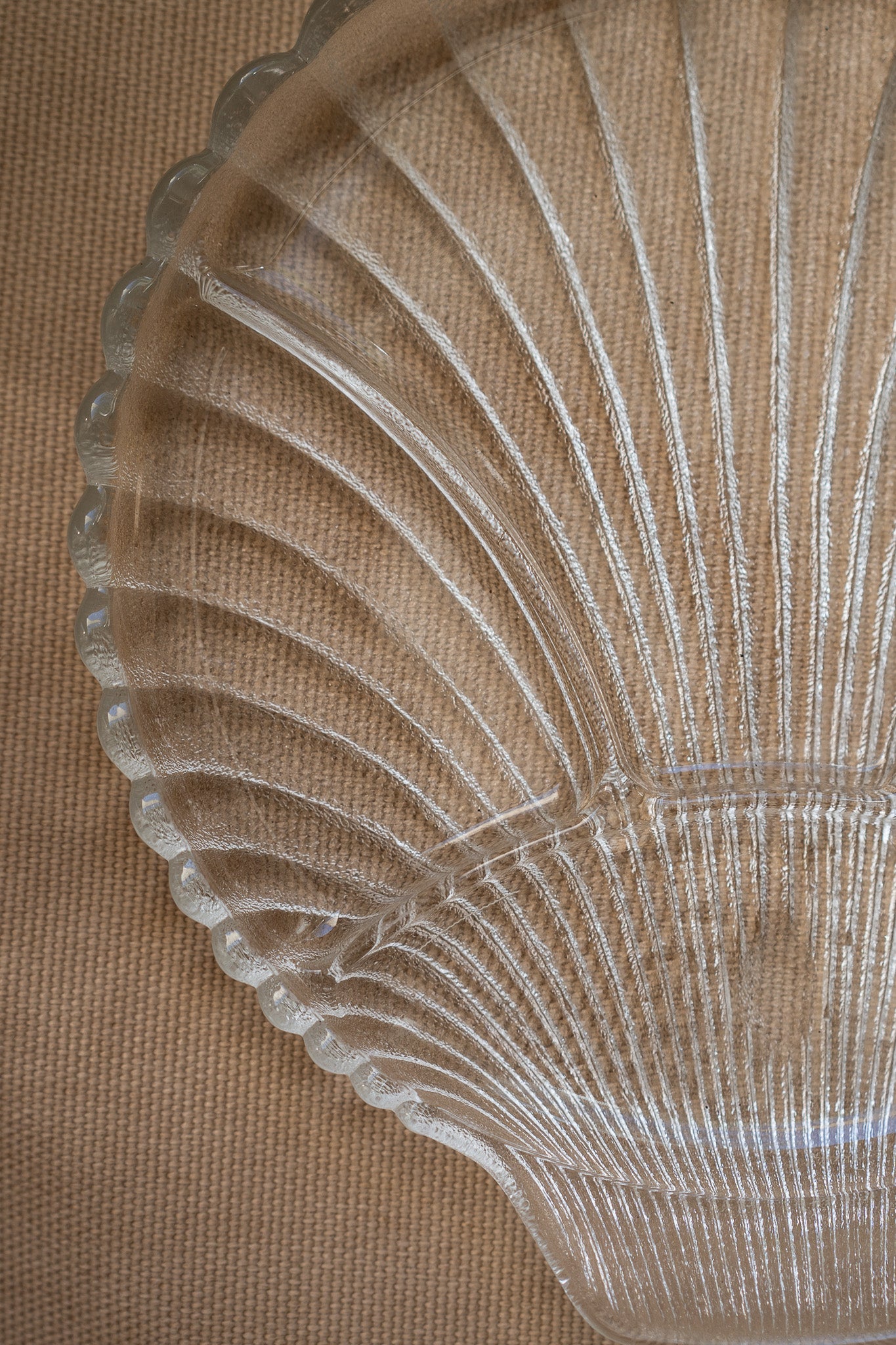 Large shell plate