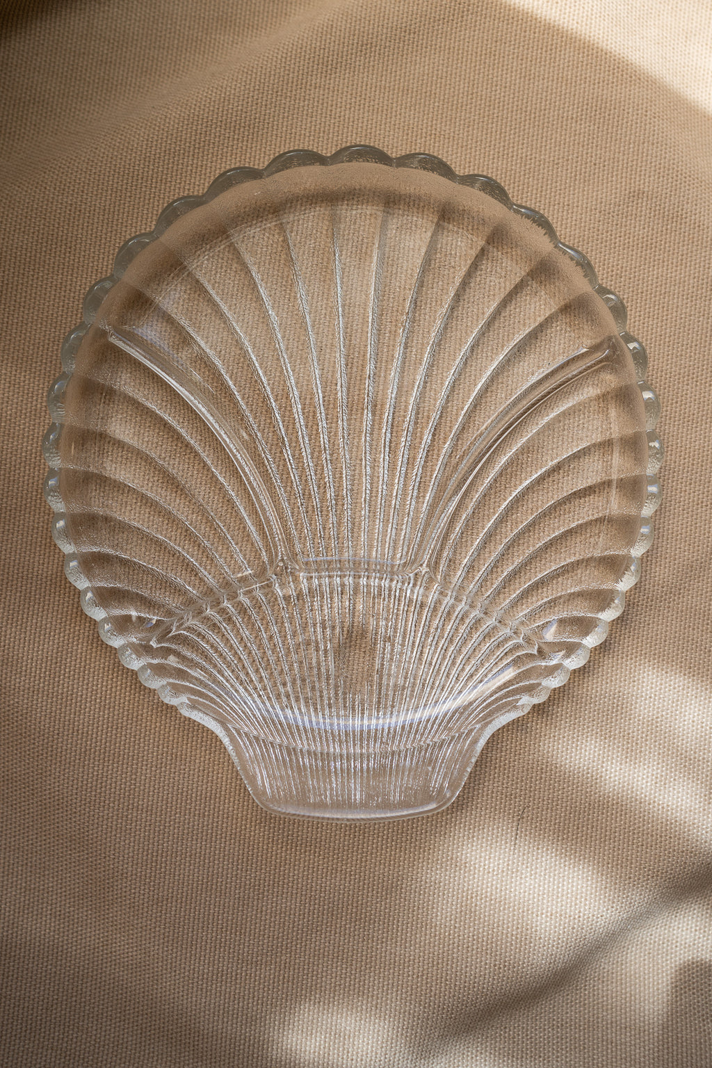 Large shell plate