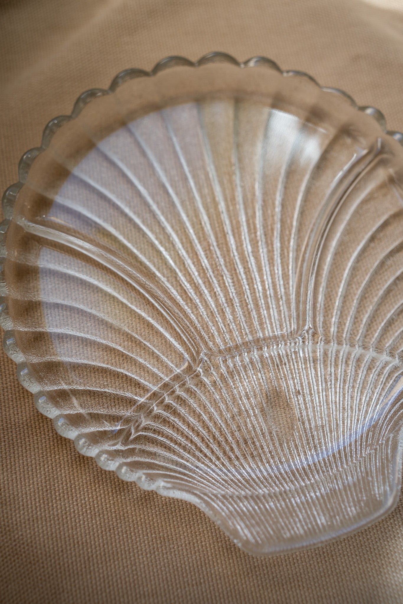 Large shell plate