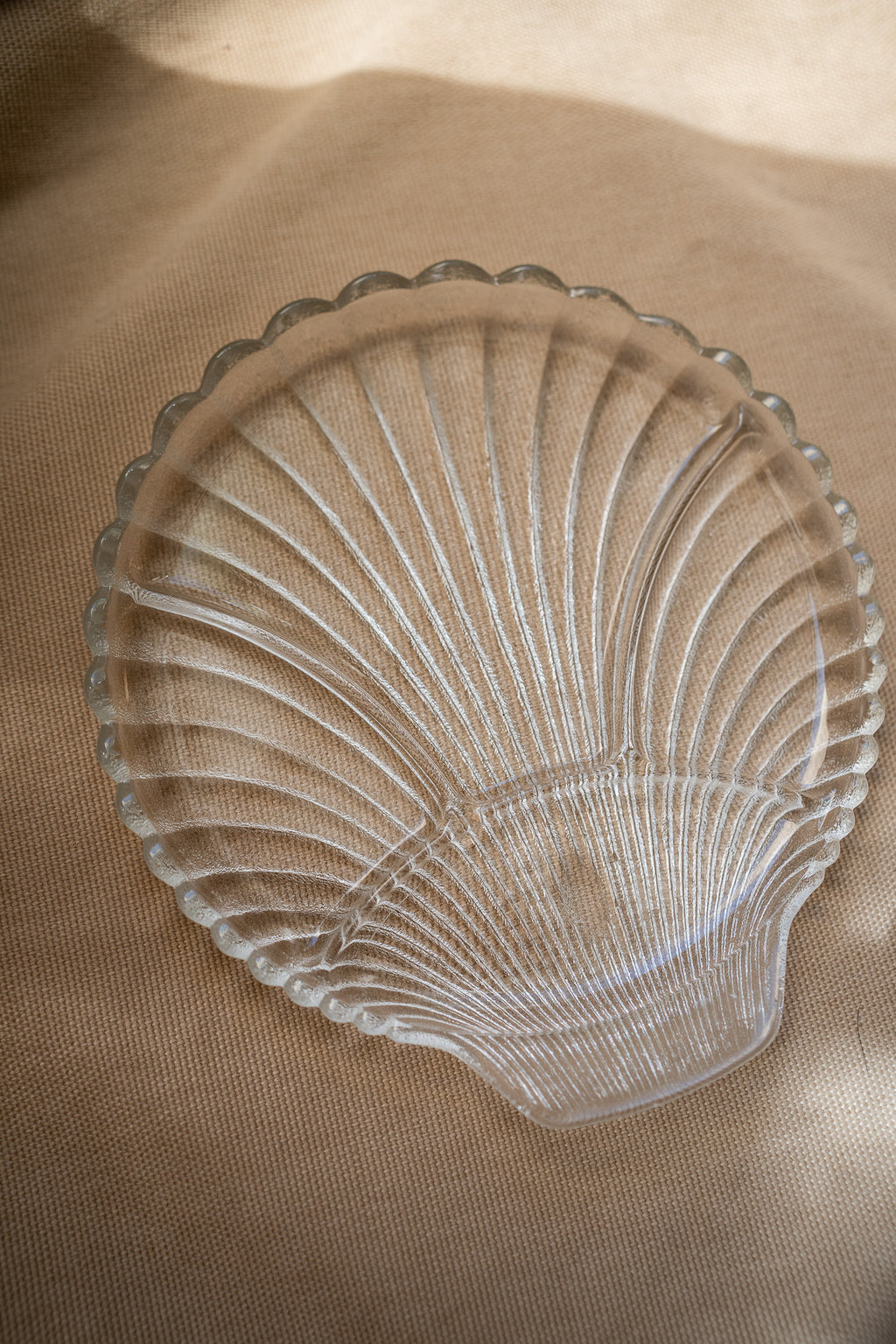 Large shell plate