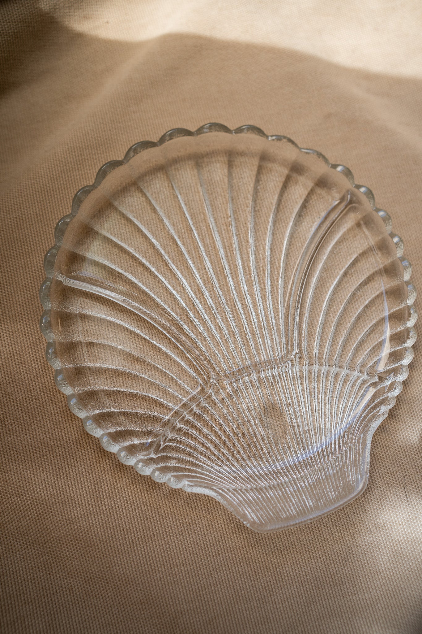 Large shell plate