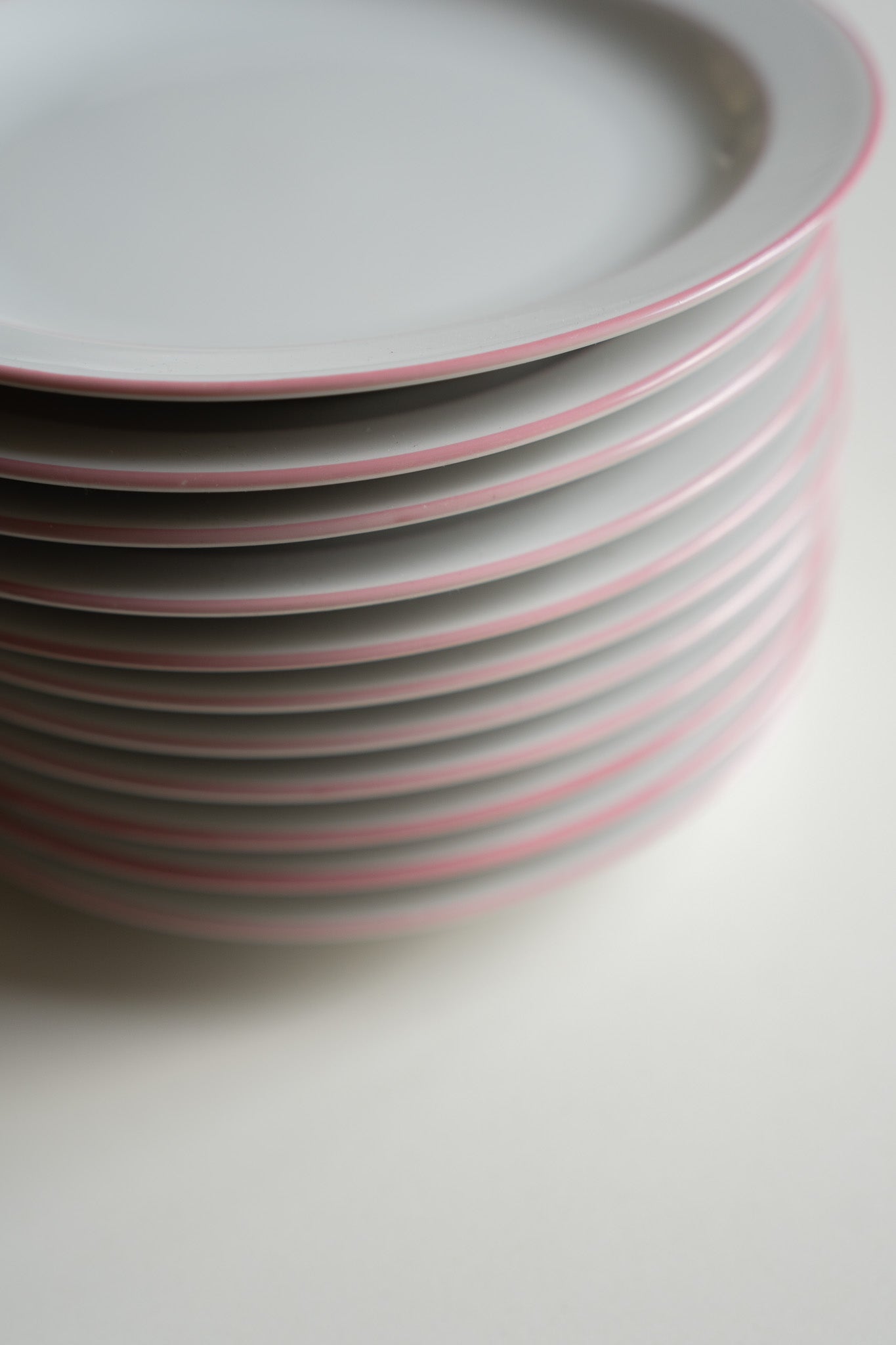 Set van 10 bordjes met roze rand