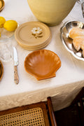 Schelp schaaltje
