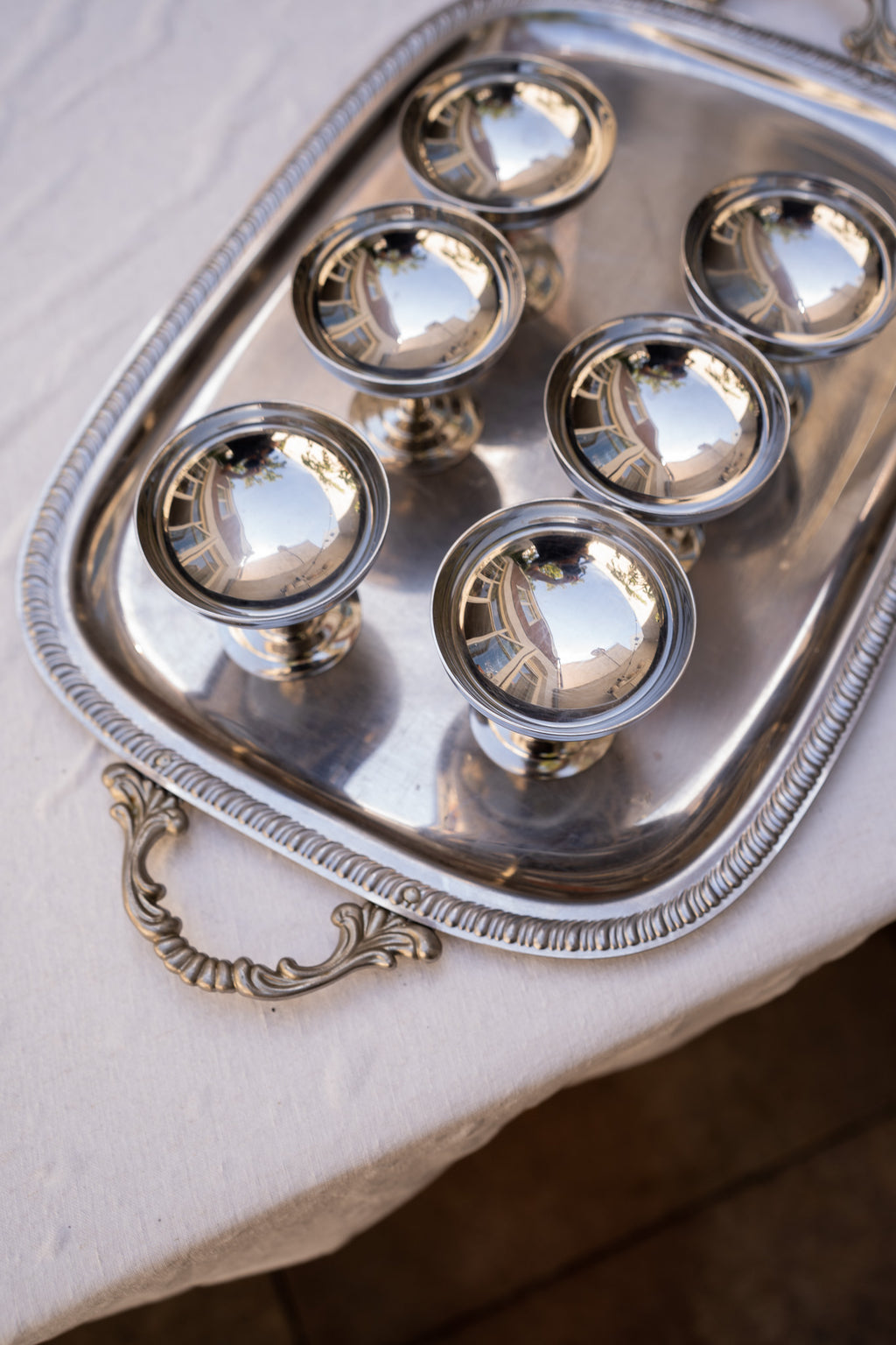 Set van 6 rvs coupes