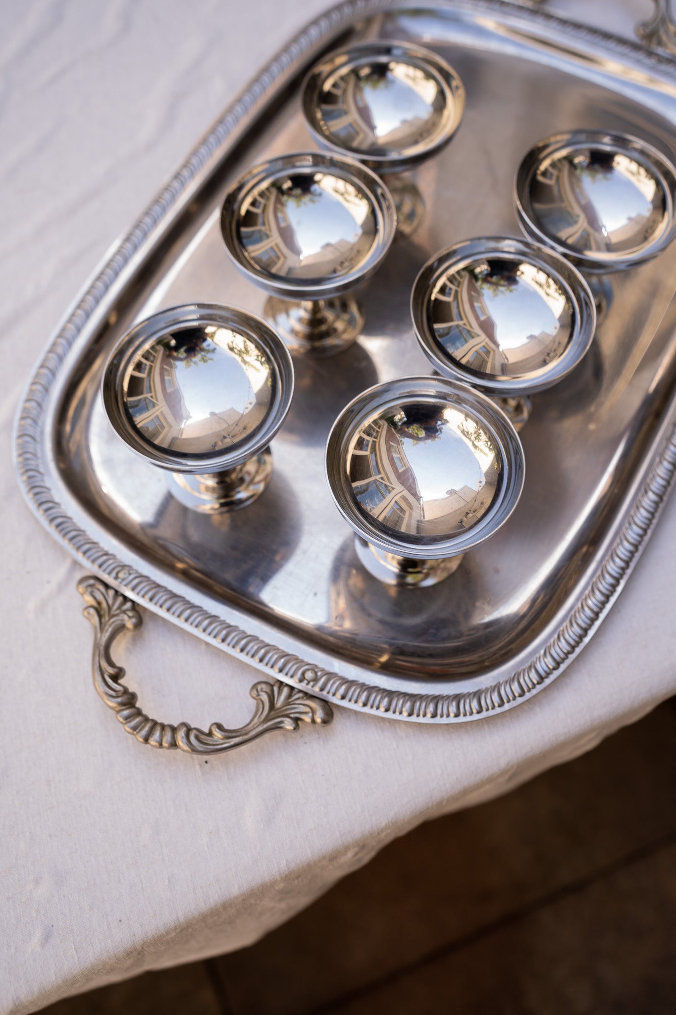 Set van 6 rvs coupes