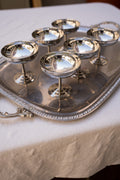 Set van 6 rvs coupes