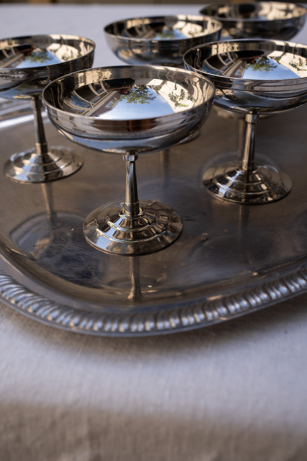 Set van 6 rvs coupes