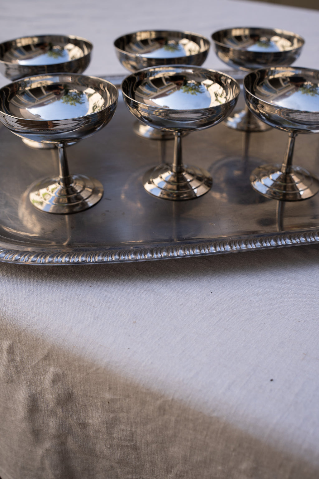 Set van 6 rvs coupes